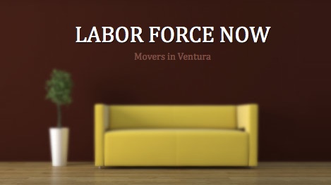 Labor_Force_Now